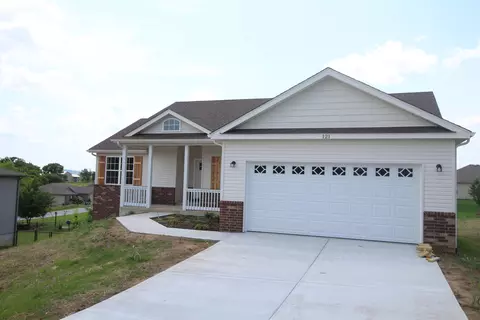 121 Caterpillar Ln, Branson, MO 65616 photo 1