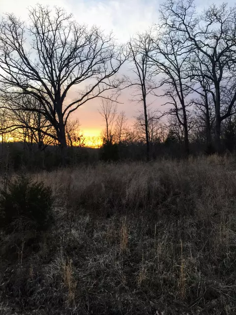 260 Shoreline Pass, Forsyth, MO 65653 photo 1