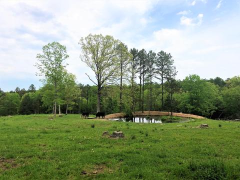9461 Hwy E, Houston, MO 65483 photo 1