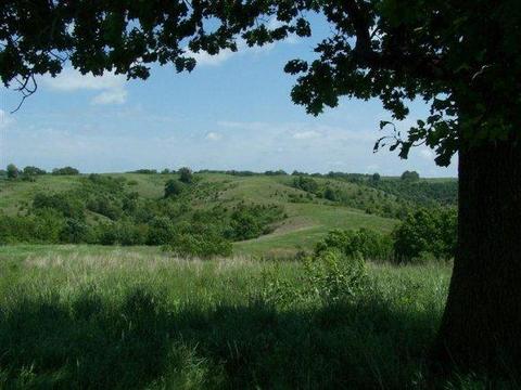 2003 Keystone, Reeds Spring, MO 65737 photo 1