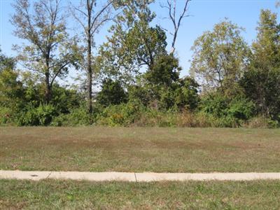 5601 S Dunrobin Dr, Springfield, MO 65809 photo 1