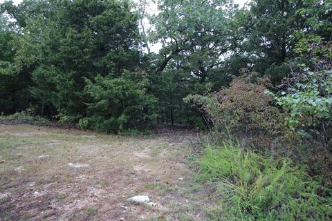 429 Silveroak Ln, Branson West, MO 65737 photo 1