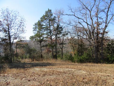 153 Ranch Rd, Saddlebrooke, MO 65630 photo 1