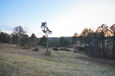 125 Ranch Rd, Saddlebrooke, MO 65630 photo 1