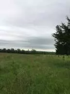 8786 N Bell Valley Ln, Willard, MO 65781 photo 1