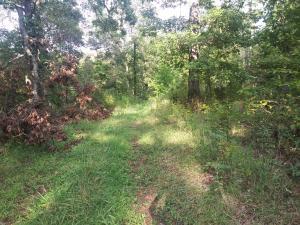144 Clement Rd, Seligman, MO 65745 photo 1