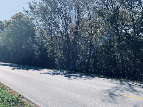 1245 S 20th St, Ozark, MO 65721 photo 1