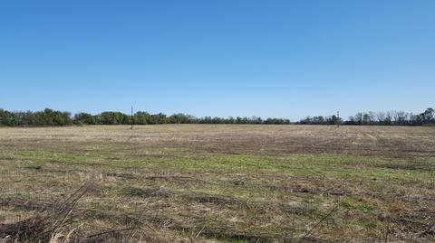 2062 S Farm Road 107, Springfield, MO 65802 photo 1