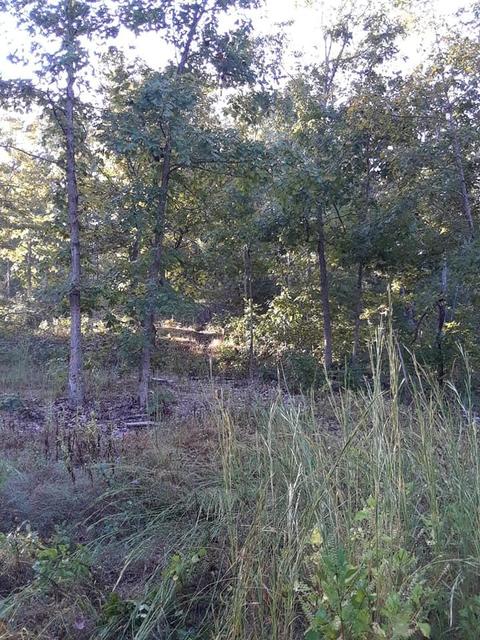 647 County Road 550, Tecumseh, MO 65760 photo 1