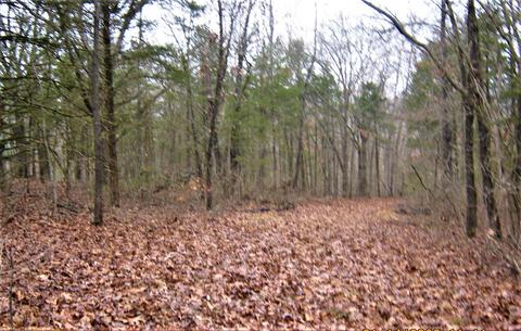 445 Falling Star Rd, Lampe, MO 65681 photo 1