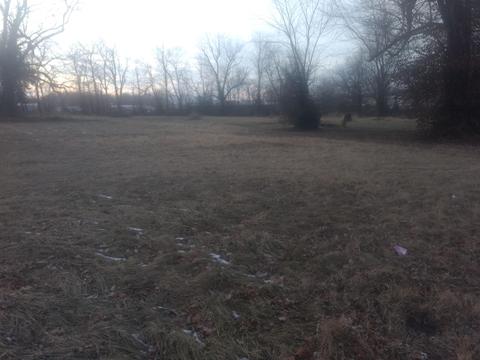 1639 N Barnes Ave, Springfield, MO 65803 photo 1