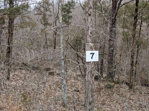 327 Shore Acre Dr, Powersite, MO 65731 photo 1