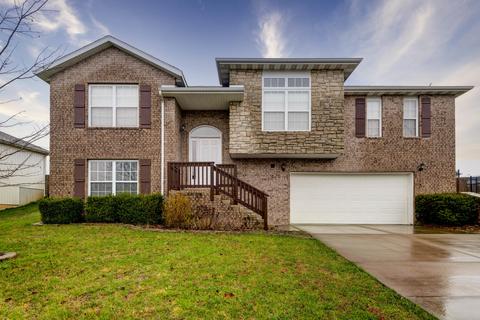 985 S Pasture Dr, Nixa, MO 65714 photo 1