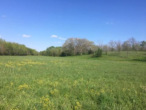 543 Washington, Mountain View, MO 65548 photo 1