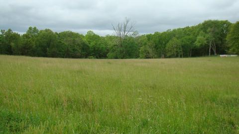 4642 Old Highway 60, Birch Tree, MO 65438 photo 1