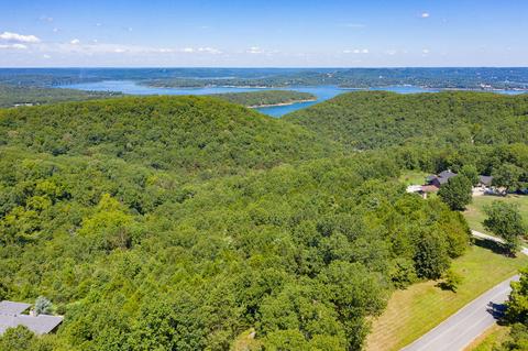 336 Kingsgate Rd, Lampe, MO 65681 photo 1