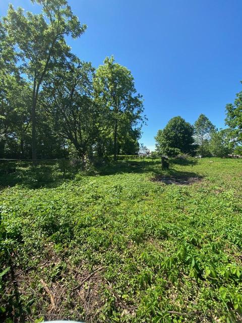 2727 W Webster St, Springfield, MO 65802 photo 1