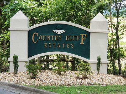 301 Loganberry Rd, Branson, MO 65616 photo 1