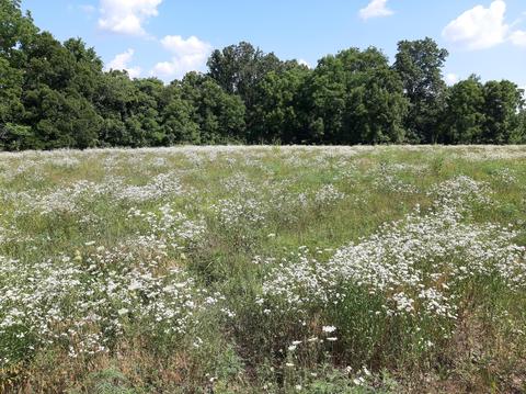 2008 W Big Bend Rd, Nixa, MO 65714 photo 1