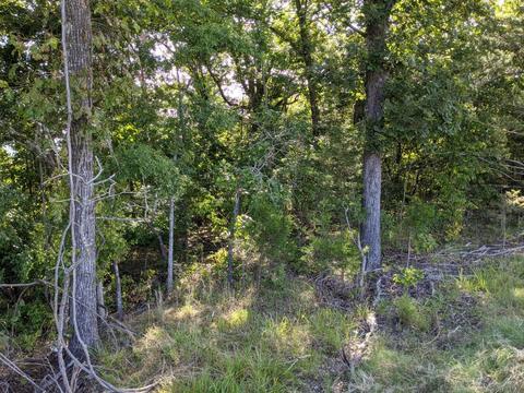 527 Burmingham Rd, Forsyth, MO 65653 photo 1