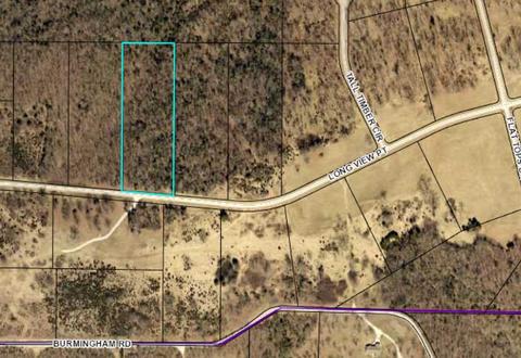 335 Longview Point Pl, Forsyth, MO 65653 photo 1