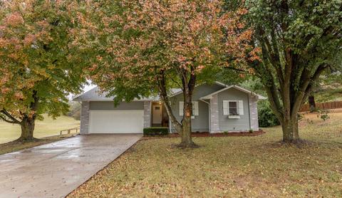 4525 N Longfellow Dr, Ozark, MO 65721 photo 1