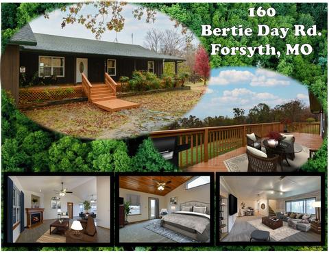160 Bertie Day Rd, Forsyth, MO 65653 photo 1