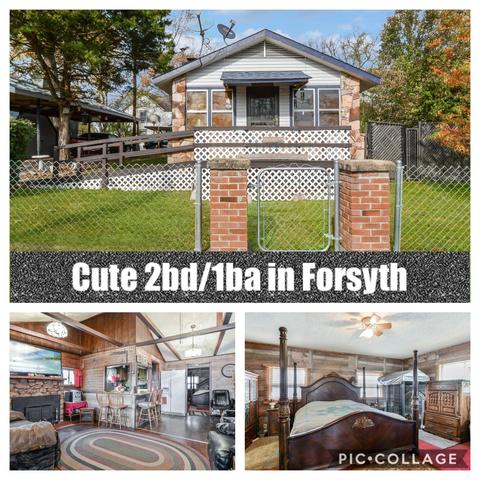 505 Shadowrock Dr, Forsyth, MO 65653 photo 1