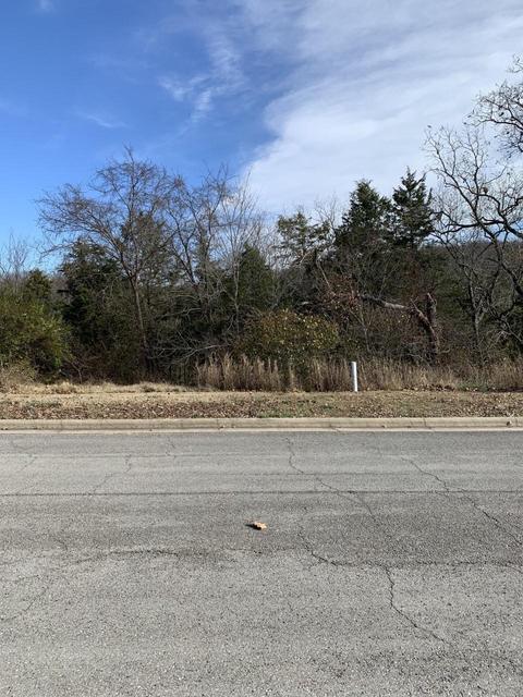 137 Roark Hills Dr, Branson, MO 65616 photo 1