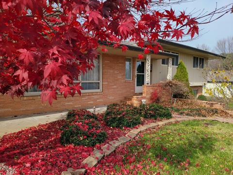 497 S Carnation Dr, Aurora, MO 65605 photo 1