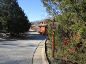 223 Oakridge Rd, Branson, MO 65616 photo 1