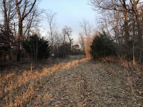 12001 Route E, Pineville, MO 64856 photo 1
