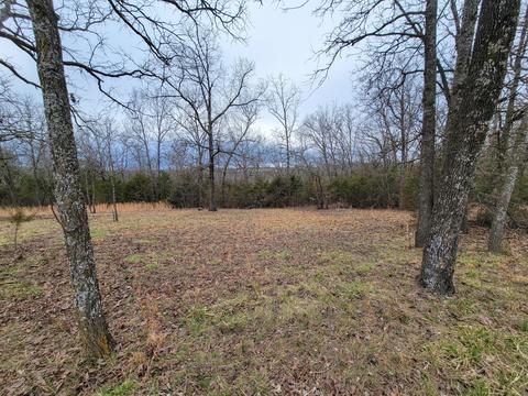 290 County Road 530, Tecumseh, MO 65760 photo 1