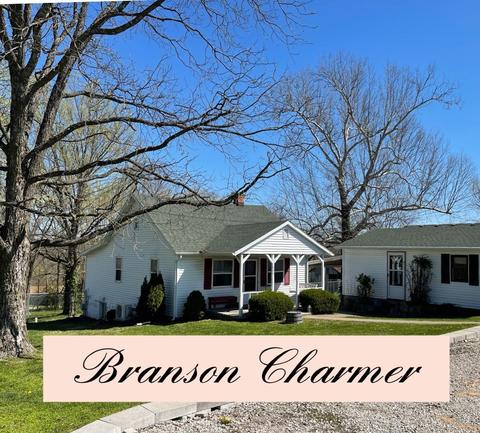 343 Mount Branson Dr, Branson, MO 65616 photo 1