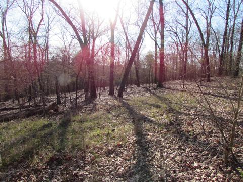 1597 Mountain Grove Rd, Branson, MO 65616 photo 1