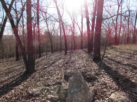 1677 Mountain Grove Rd, Branson, MO 65616 photo 1