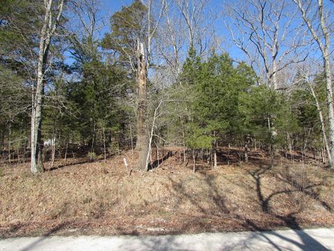 442 Rocky Point Loop, Branson, MO 65616 photo 1