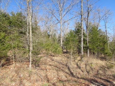 408 Rocky Point Loop, Branson, MO 65616 photo 1