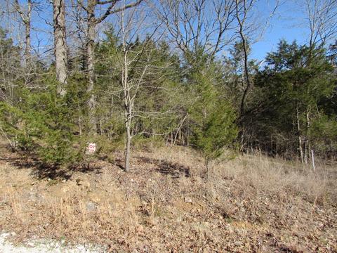 378 Rocky Point Loop, Branson, MO 65616 photo 1