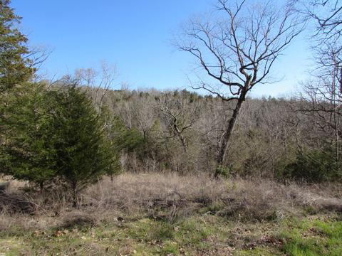 342 Rocky Point Loop, Branson, MO 65616 photo 1