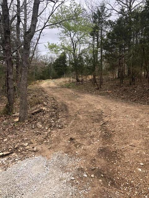 1275 Timberlake, Branson, MO 65616 photo 1
