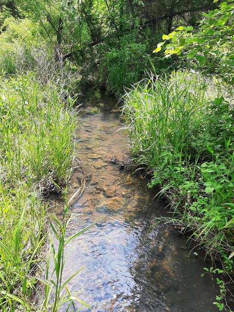 16162 Highway U, Cabool, MO 65689 photo 1