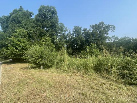 4419 4431 East Cross Timbers St, Springfield, MO 65809 photo 1
