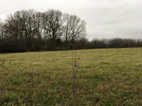 866 Tract Apt 1 Hodges Rd, Sparta, MO 65753 photo 1