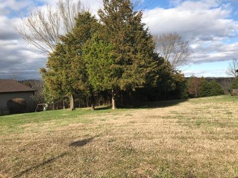 1107 Ledgestone Ln, Branson West, MO 65737 photo 1