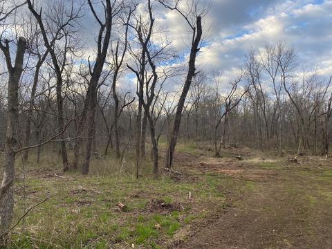6909 State Line Rd, Seneca, MO 64865 photo 1