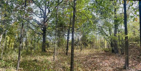 Seneca Mo 000 Highway 43, Seneca, MO 64865 | 4 Photos | MLS #60231284 - Movoto