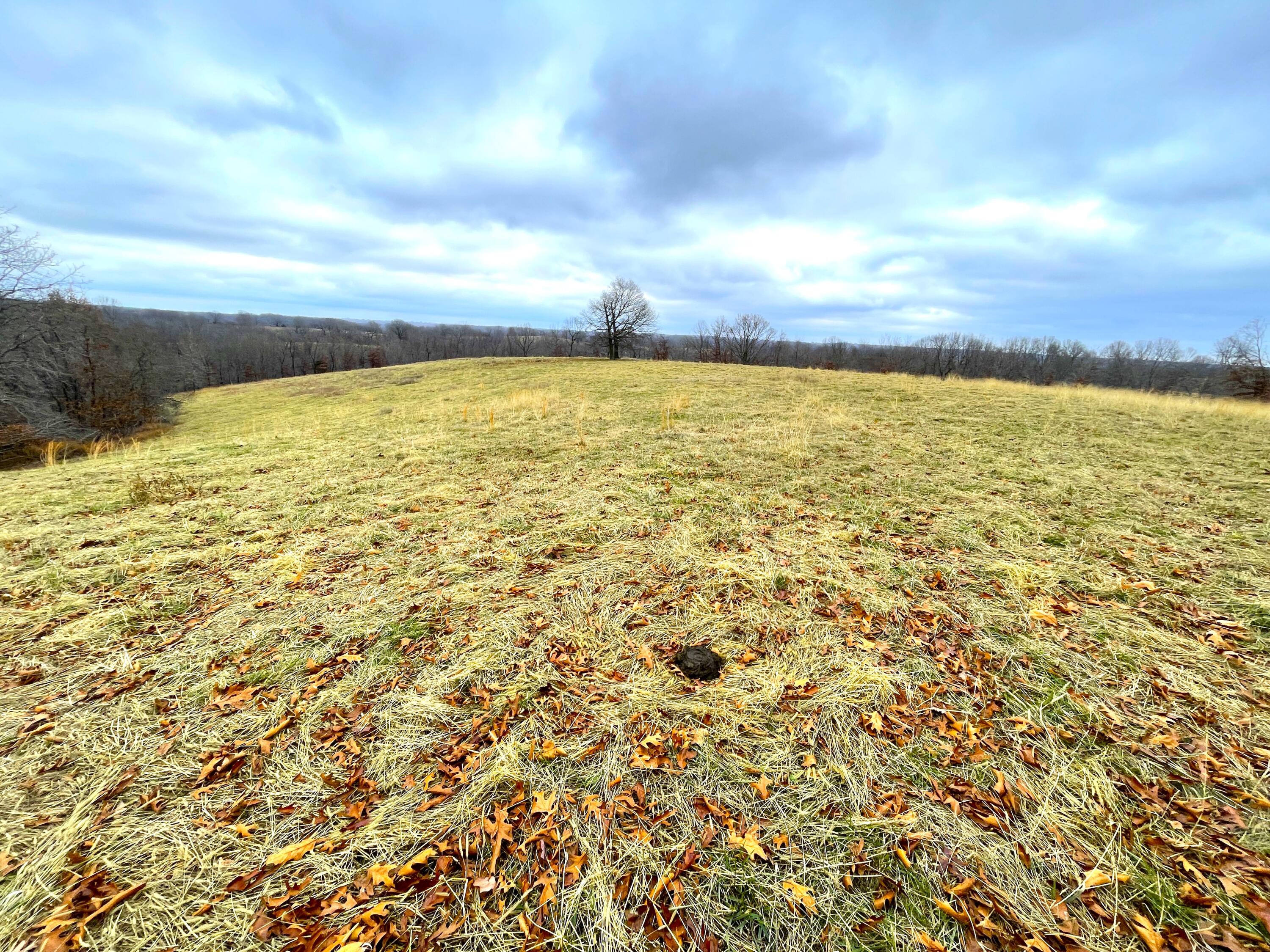 117 Acres Carlin Rdg Rd  