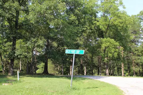 510 Rocky Point Loop, Branson, MO 65616 photo 1