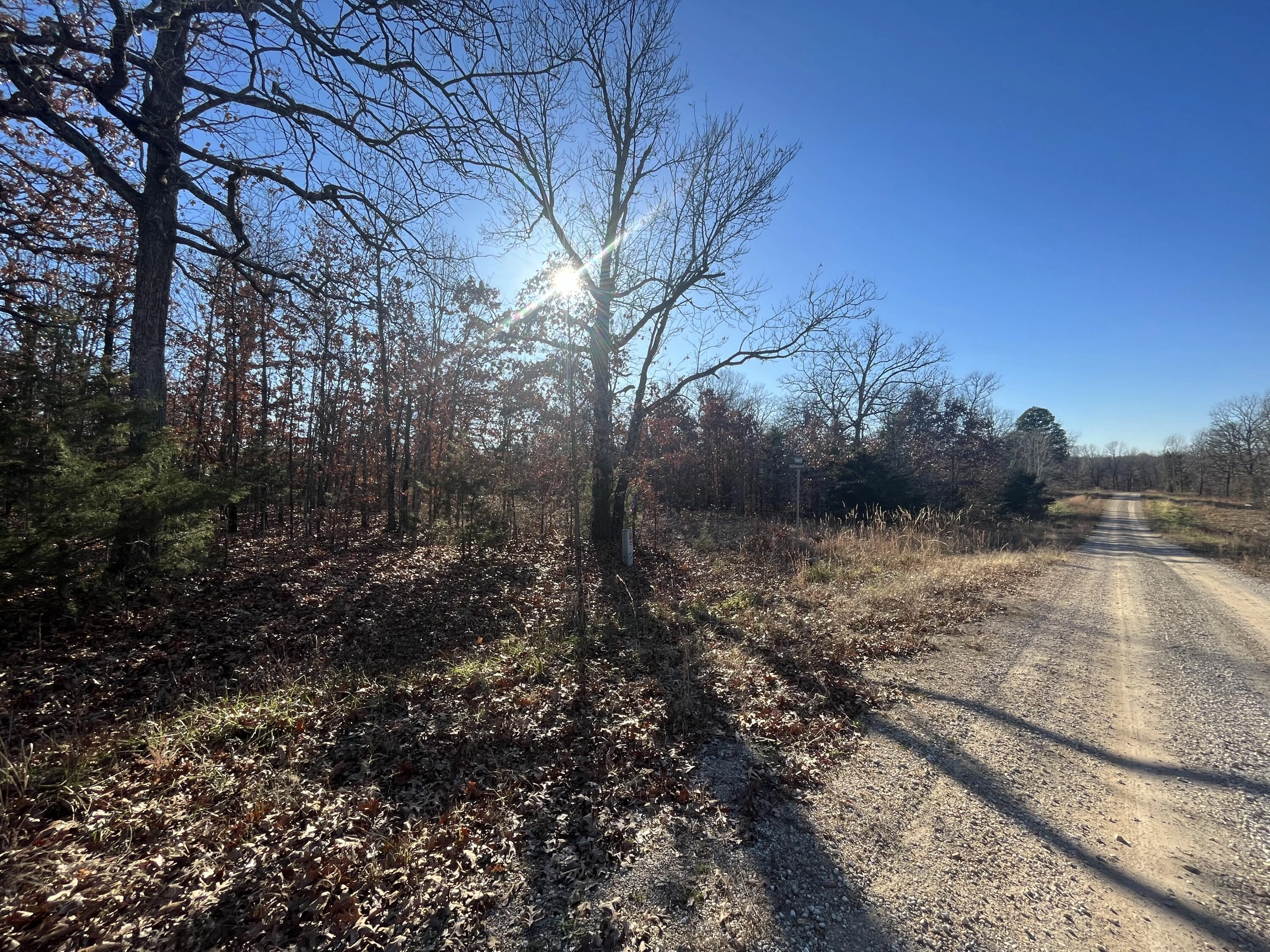 000 Timber Cir